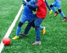 贝氏球场设,计方案亮相,屋顶植树,谈球吧,谈球吧下载,谈球吧官网,谈球吧入口,谈球吧登录,谈球吧链接