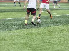 元旦确保大,湾区水供,采纳,谈球吧,谈球吧下载,谈球吧官网,谈球吧入口,谈球吧登录,谈球吧链接