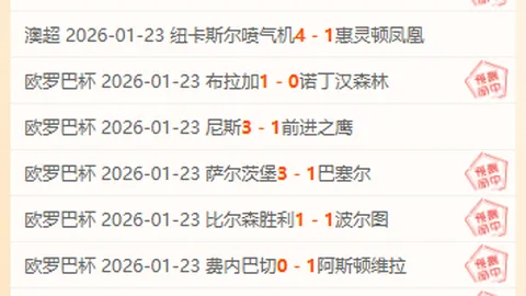 瑞典国脚集体宣布退出国家队，五人不再代表国家队出战