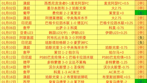 刘国梁向WTT建言：提议取消强制参赛制度 新华社讯